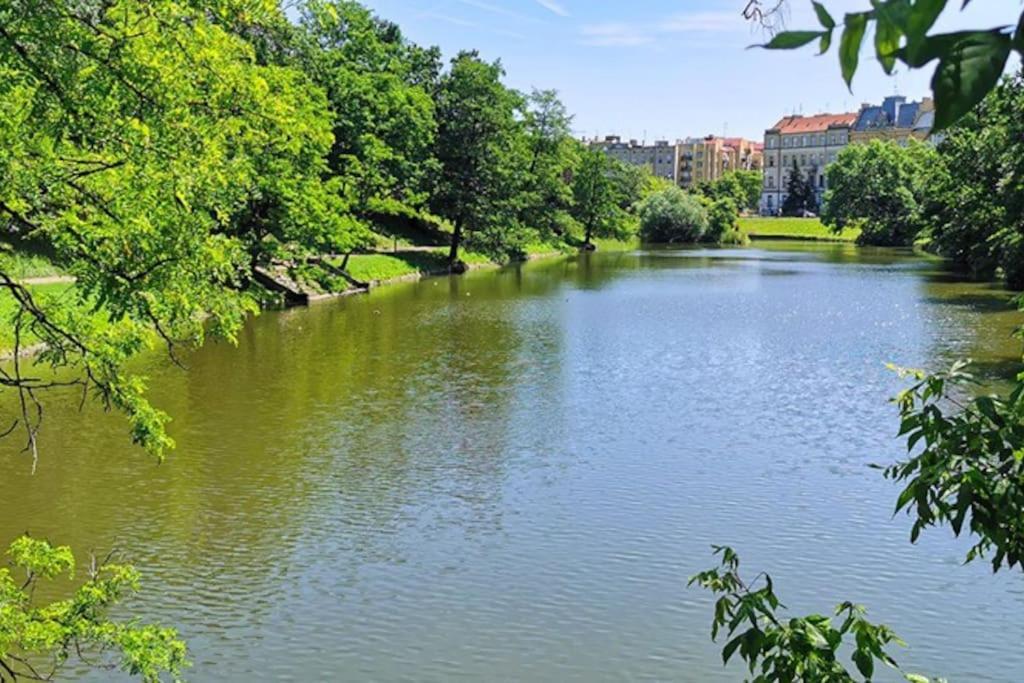 Parkowy Apartament Apartment Wroclaw Ngoại thất bức ảnh
